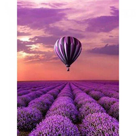 Canvas Lavanta Bahçesi ve Balon Sayılarla Boyama Seti  Kasnaklı 40 x 50 cm