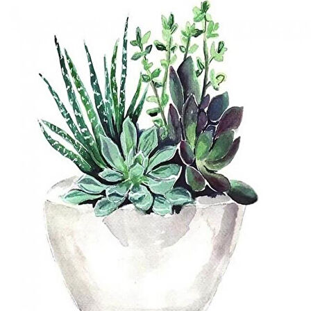 Canvas Saksıdaki Çiçekler Sayılarla Boyama Seti  Kasnaklı 40 x 50 cm