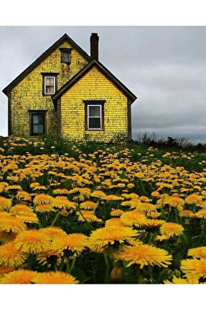 Canvas Çiçek Tarlasındaki Sarı Ev Sayılarla Boyama Seti   Kasnaklı 40 x 50 cm