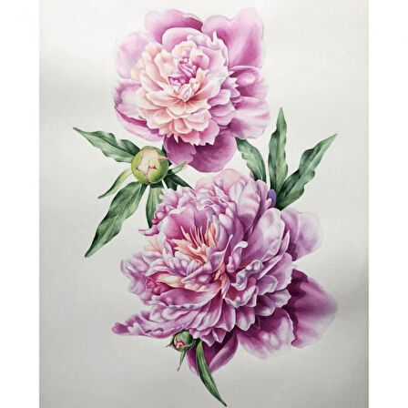 Canvas Pembe Çiçekler Sayılarla Boyama Seti   Kasnaklı 40 x 50 cm