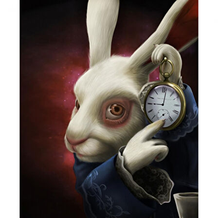 Canvas Harikalar Diyarı 2 Sayılarla Boyama Seti  Kasnaklı 40 x 50 cm