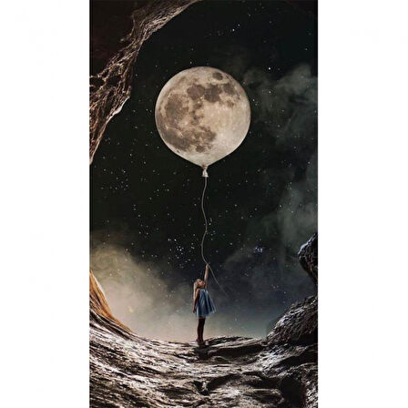 Canvas Uçan Dolunay Sayılarla Boyama Seti  Kasnaklı 40 x 50 cm