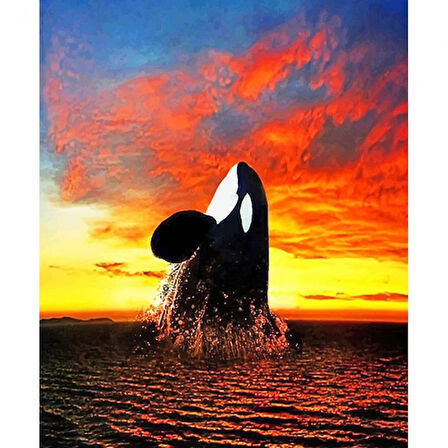 Canvas Balina Sayılarla Boyama Seti Sayılarla Boyama Seti  Kasnaklı 40 x 50 cm
