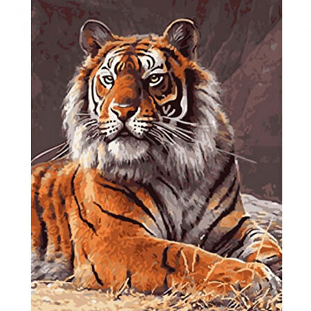 Canvas Güçlü Kaplan Sayılarla Boyama Seti  Kasnaklı 40 x 50 cm