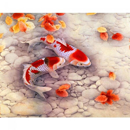 Canvas Japon Balıkları Sayılarla Boyama Seti  Kasnaklı 40 x 50 cm