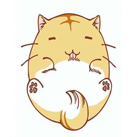 Canvas Keyifli Kedi Sayılarla Boyama Seti  Kasnaklı 40 x 50 cm