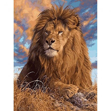 Canvas Lider Aslan  Sayılarla Boyama Seti  Kasnaklı 40 x 50 cm