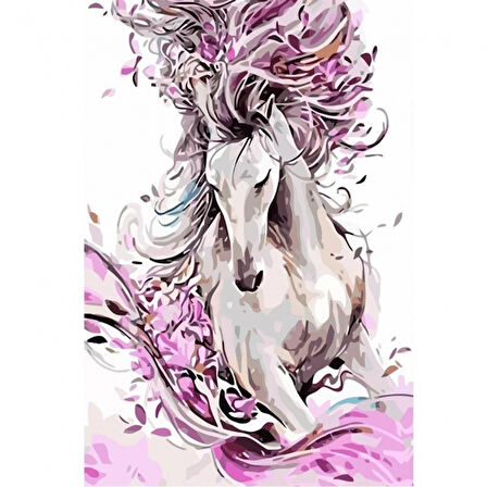 Canvas Masal ve At Sayılarla Boyama Seti  Kasnaklı 40 x 50 cm