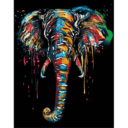 Canvas Renklerin Fili Sayılarla Boyama Seti  Kasnaklı 40 x 50 cm