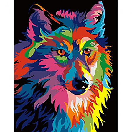 Canvas Renkli Kurt Sayılarla Boyama Seti  Kasnaklı 40 x 50 cm
