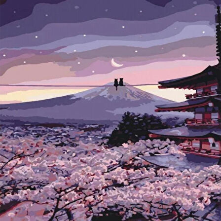 Canvas Romantik Çin Kedileri Sayılarla Boyama Seti  Kasnaklı 40 x 50 cm