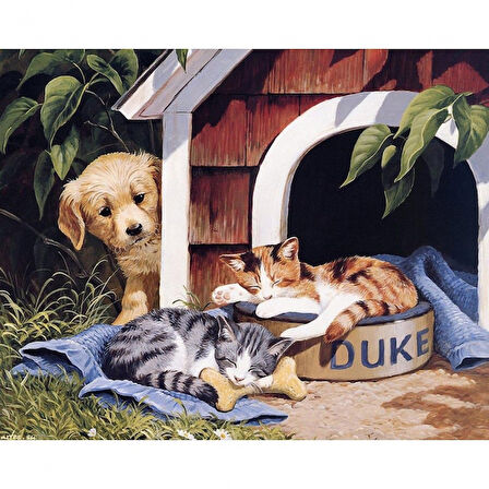 Canvas Sevimli Dostlar Boyama  Seti  Kasnaklı 40 x 50 cm