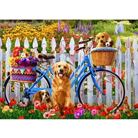 Canvas Sevimli Köpekler ve Bisiklet Sayılarla Boyama Seti  Kasnaklı 40 x 50 cm
