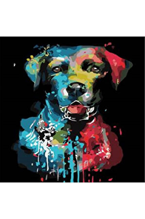 Canvas En İyi Dost Sayılarla Boyama Seti   Kasnaklı 40 x 50 cm