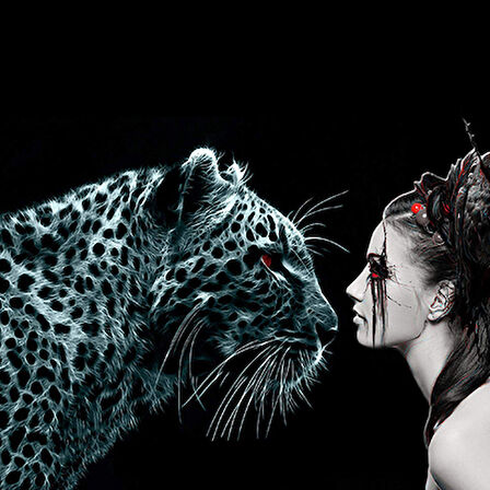 Canvas Kaplanın Duruşu Sayılarla Boyama Seti  Kasnaklı 40 x 50 cm