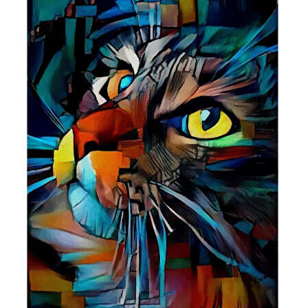 Canvas Kedinin Bakışı 2 Sayılarla Boyama Seti  Kasnaklı 40 x 50 cm