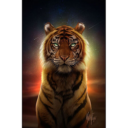 Canvas Ritüel Kaplanı Sayılarla Boyama Seti  Kasnaklı 40 x 50 cm