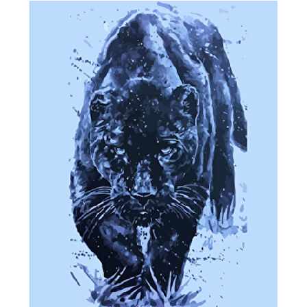 Canvas Siyah Kaplan Sayılarla Boyama Seti  Kasnaklı 40 x 50 cm