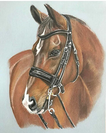Canvas Düşlerdeki At Sayılarla Boyama Seti  Kasnaklı 40 x 50 cm