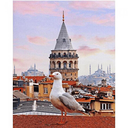 Canvas Galata Kulesi ve Martı Sayılarla Boyama Seti  Kasnaklı 40 x 50 cm