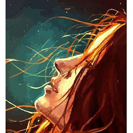 Canvas Kızıl Güzel Sayılarla Boyama Seti  Kasnaklı 40 x 50 cm