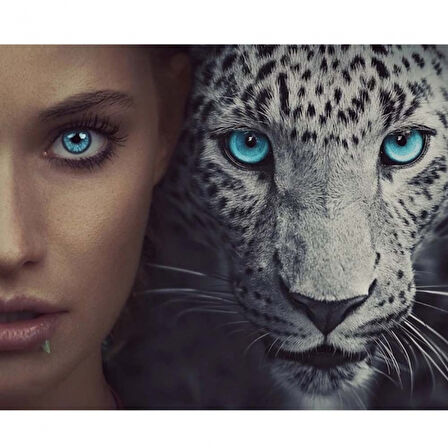 Canvas Mavi Gözler Sayılarla Boyama Seti  Kasnaklı 40 x 50 cm