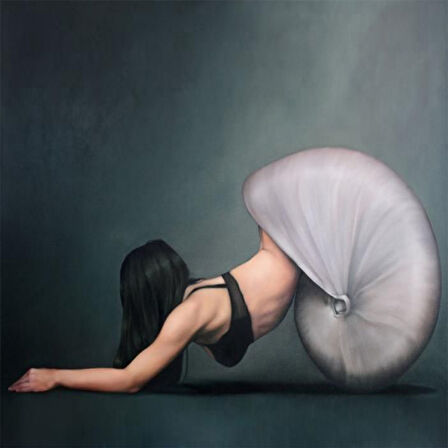 Canvas Salyangoz Kadın Sayılarla Boyama Seti  Kasnaklı 40 x 50 cm