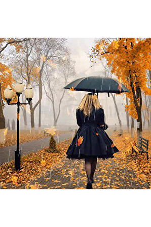 Canvas Kadın Ve Sonbahar Sayılarla Boyama Seti  Kasnaklı 40 x 50 cm