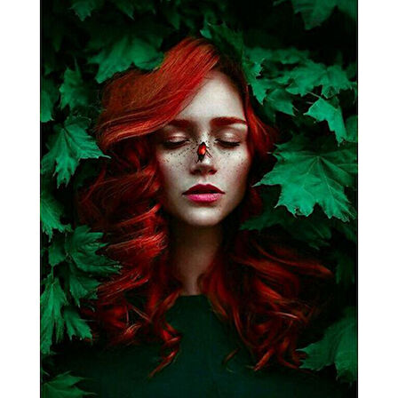 Canvas Yaprak Güzeli Sayılarla Boyama Seti  Kasnaklı 40 x 50 cm