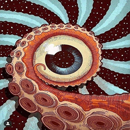Canvas Göz Sayılarla Boyama Seti  Kasnaklı 40 x 50 cm