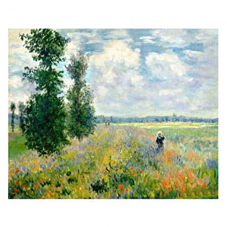 Canvas Monet Hashas Bahçesi Sayılarla Boyama Seti  Kasnaklı 40 x 50 cm