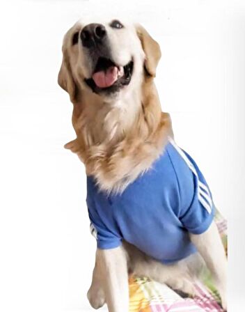 Bebek Mavisi Adidog Kapşonlu Sweatshirt Orta ve Büyük Irklar İçin