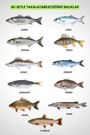 20 Parça Tam Takım Çocuk Olta Seti - 165cm Kamış 50-150 GR/20'lik Makine (Mavi)