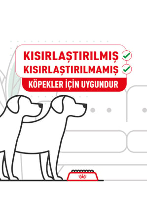 Royal Canin Pomeranian Yetişkin Köpek Maması 1,5 kg Idili