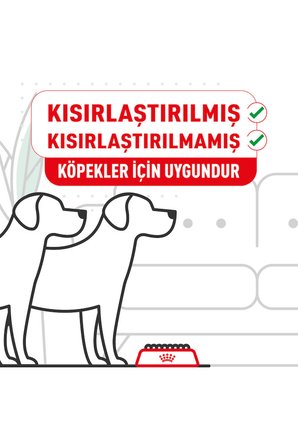 Royal Canin Maltese Bichon Maltais Köpek Maması 1.5 kg