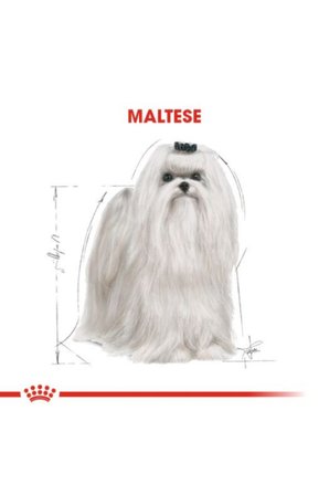 Royal Canin Maltese Bichon Maltais Köpek Maması 1.5 kg