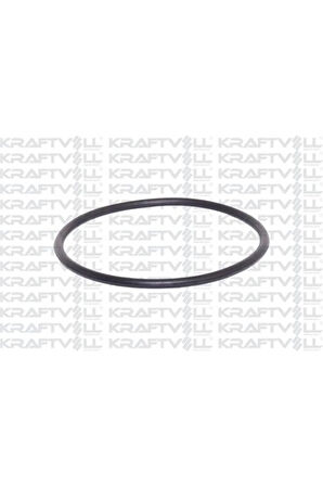 Yakıt Pompa Contası Vectra B 1,6 / 1,8 / 2,0 96 02