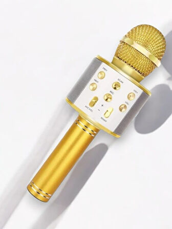 Müzik Keyfi İçin Bluetooth Hoparlör - Karaoke Mikrofon ve Hoparlör