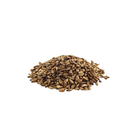 Deve Dikeni Tohumu Dökme 500 Gr