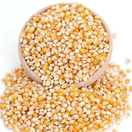Cin Mısır Patlak Dökme 250 Gr