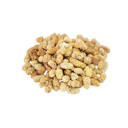 Dut Kurusu Beyaz Malatya Dökme 250 Gr