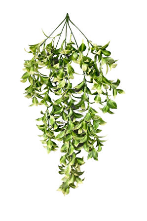 Yapay Krem Detaylı Limon Çiçeği 5 Dallı Sarkıt 80x50