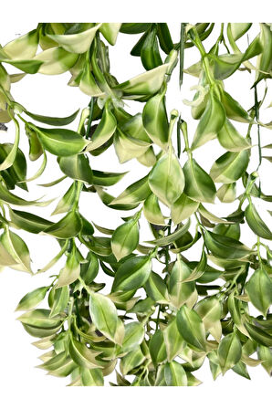 Yapay Krem Detaylı Limon Çiçeği 5 Dallı Sarkıt 80x50