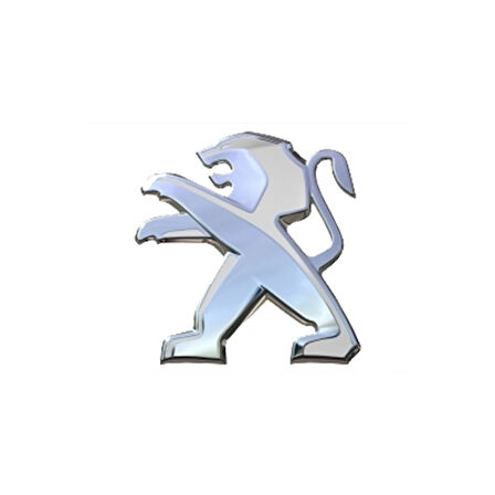 PEUGEOT 206 207 BAGAJ ARMA