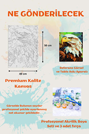 Sayılarla Boyama Çerçeveli Hobi Seti Numaralı Tuval Fırça Boya Dahil Kasnaklı 40X50 Cm