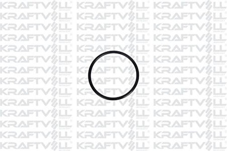 Kraftvoll 10060356 Gaz Kelebegı Contası 63Mm 4Mm Ince Dacıa Duster Logan I-Iı Sandero I Renault Captur I Clıo II Kangoo Laguna I-Iı Megane I-Iı Trafıc II Opel Vıvaro A