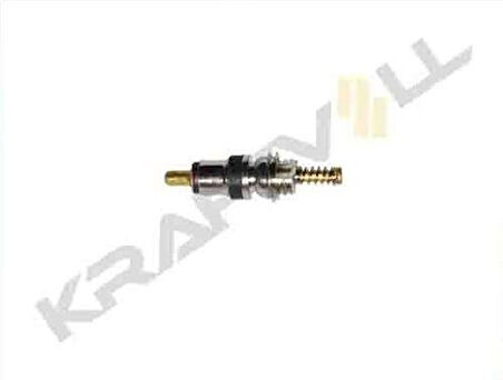 Kraftvoll 19013066 Gaz Basma Subap Ignesı Renault (18.35mm 5.1mm) (10 Adet) 