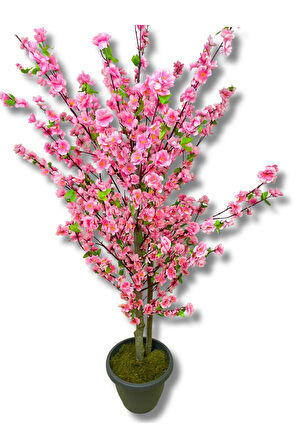 Kiraz Çiçek Pembe Bahar Dalı Yeşil Detaylı 180 Cm Üretim Saksısı