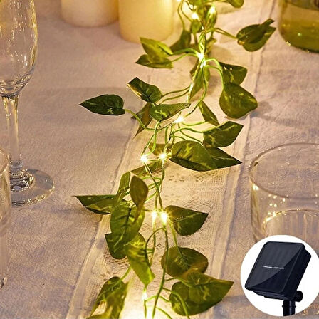Leyloş Güneş Enerjili Sarmaşık Led Dekor 5 Metre