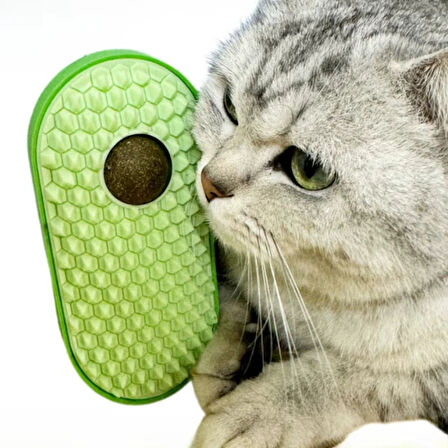 Leyloş Silikon Kaşıyıcılı Kedi Otu